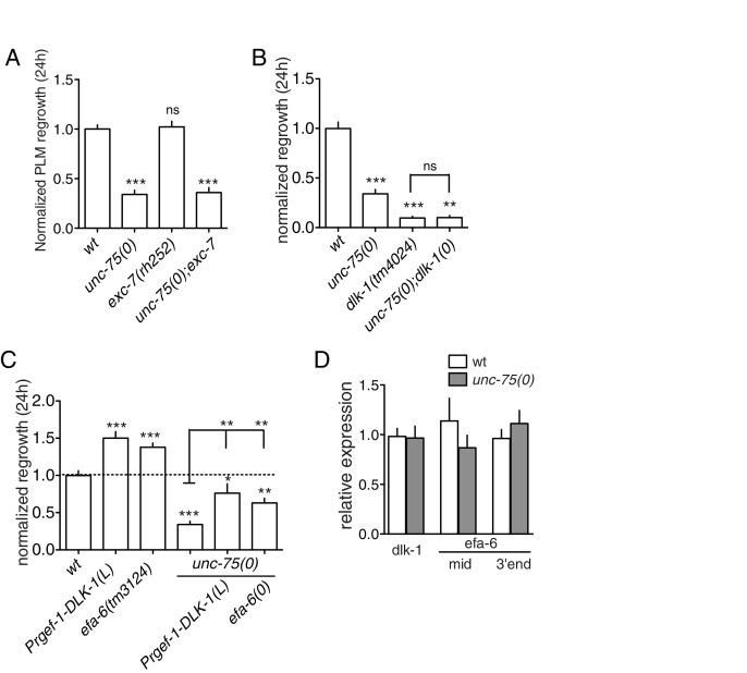https://cdn.ncbi.nlm.nih.gov/pmc/blobs/6168/4946901/63e681ec79d5/elife-16072-fig1-figsupp3.jpg