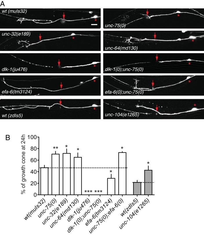https://cdn.ncbi.nlm.nih.gov/pmc/blobs/6168/4946901/f82e0247b50f/elife-16072-fig1-figsupp2.jpg