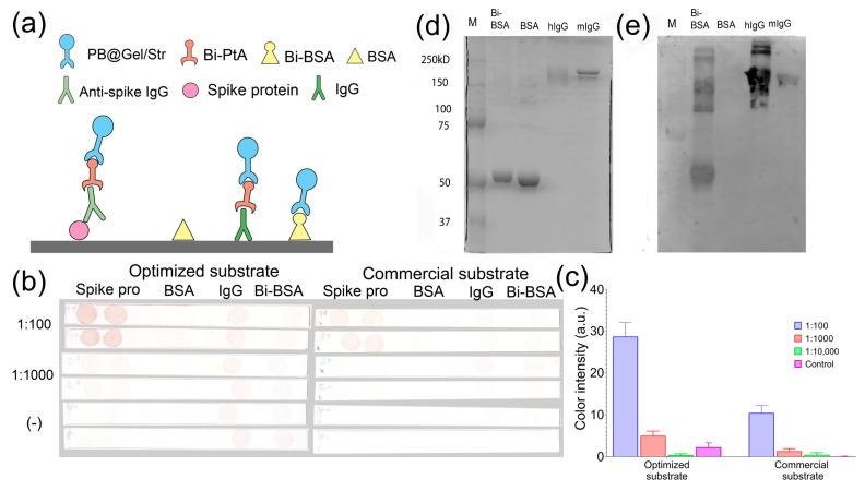 https://cdn.ncbi.nlm.nih.gov/pmc/blobs/617e/10674554/f3a973e10d3d/molecules-28-07622-g008.jpg