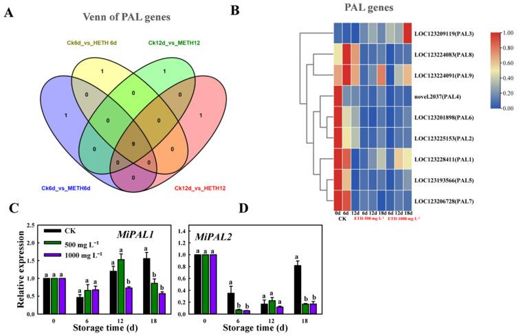 https://cdn.ncbi.nlm.nih.gov/pmc/blobs/6198/11084497/338fdf3412d2/ijms-25-04841-g002.jpg