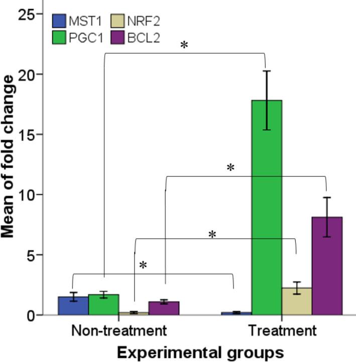 https://cdn.ncbi.nlm.nih.gov/pmc/blobs/619d/9118276/45aa0f068c8d/IJBMS-25-53-g004.jpg