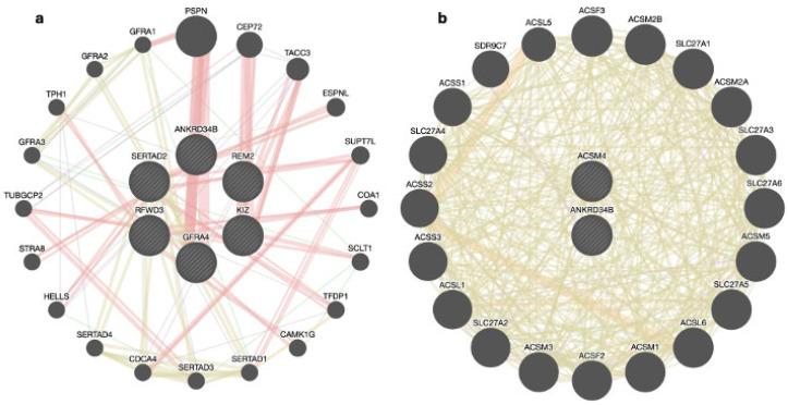 https://cdn.ncbi.nlm.nih.gov/pmc/blobs/61aa/11431486/7cfd26a4814e/genes-15-01131-g002.jpg