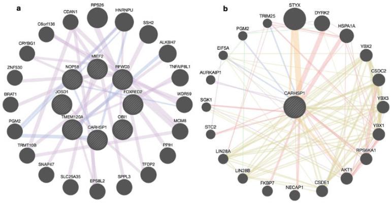 https://cdn.ncbi.nlm.nih.gov/pmc/blobs/61aa/11431486/dce002ef0f9f/genes-15-01131-g003.jpg