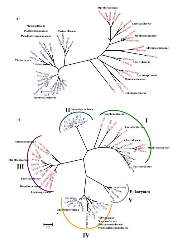 https://cdn.ncbi.nlm.nih.gov/pmc/blobs/61ab/2693436/e500c7514cb4/1471-2148-9-118-3.jpg