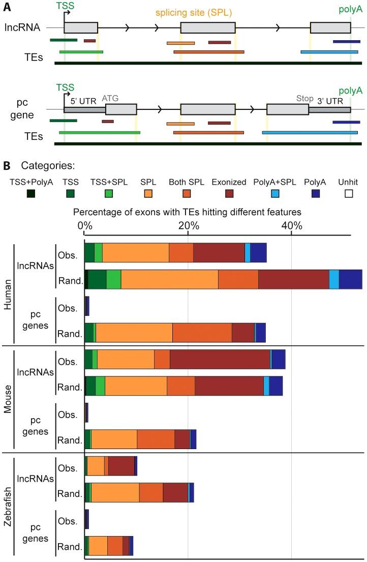 https://cdn.ncbi.nlm.nih.gov/pmc/blobs/61d0/3636048/65c896a6b957/pgen.1003470.g005.jpg