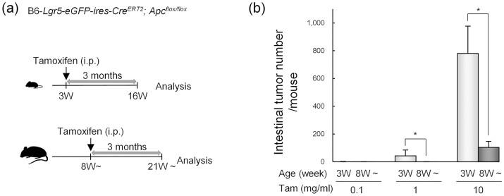 https://cdn.ncbi.nlm.nih.gov/pmc/blobs/61d3/10183640/3a4f0d6eaf2f/bgac100_fig2.jpg