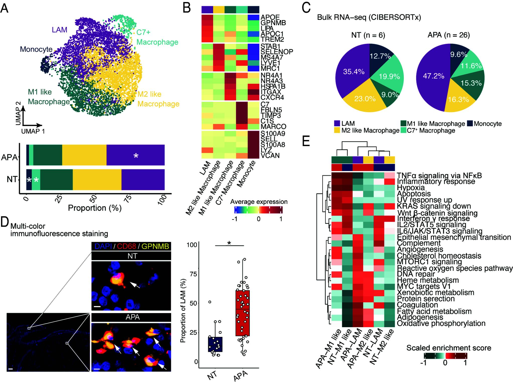 https://cdn.ncbi.nlm.nih.gov/pmc/blobs/61d6/11892633/483dfef7ebb0/pnas.2421489122fig05.jpg