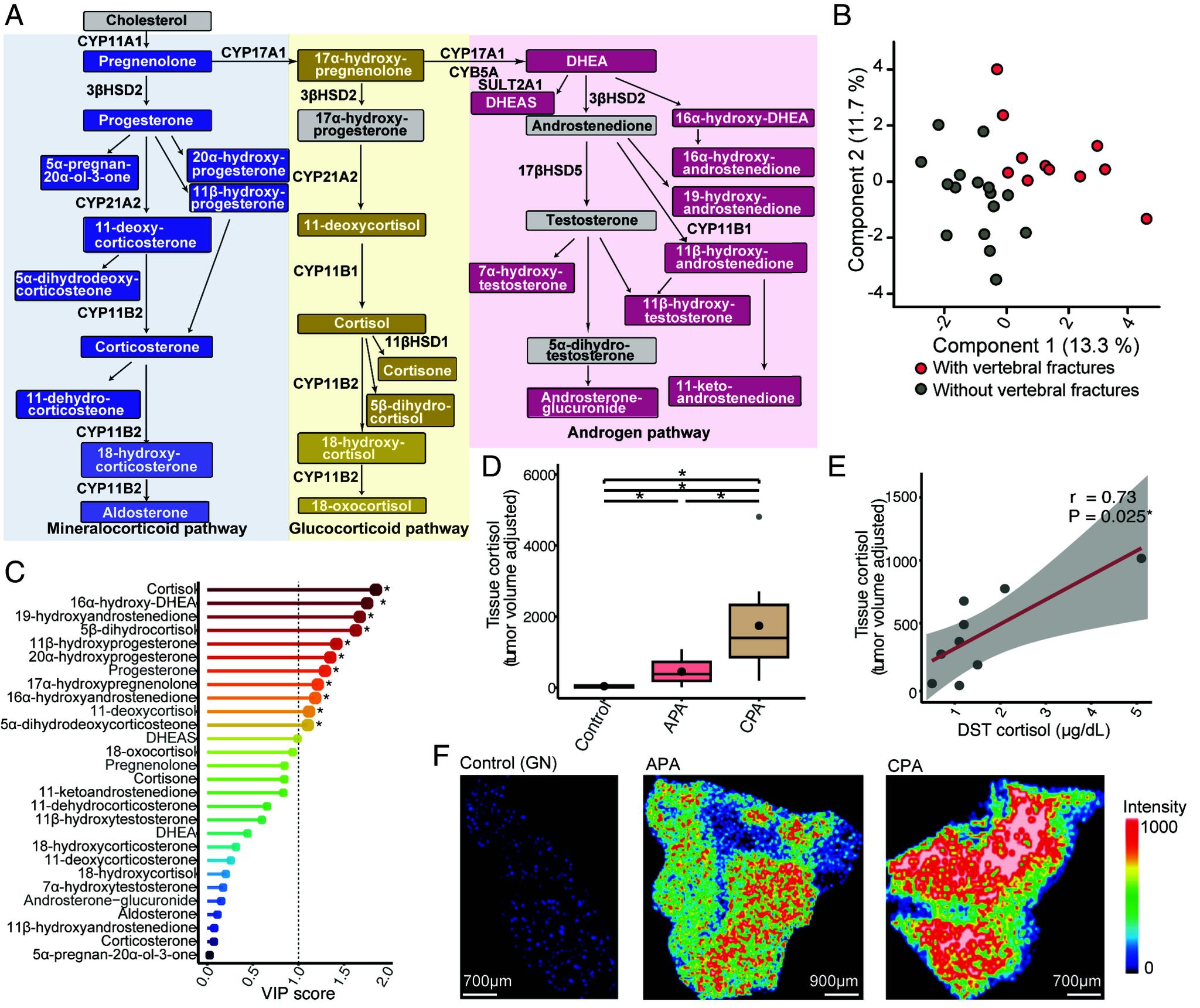 https://cdn.ncbi.nlm.nih.gov/pmc/blobs/61d6/11892633/71f3a2a74a15/pnas.2421489122fig07.jpg