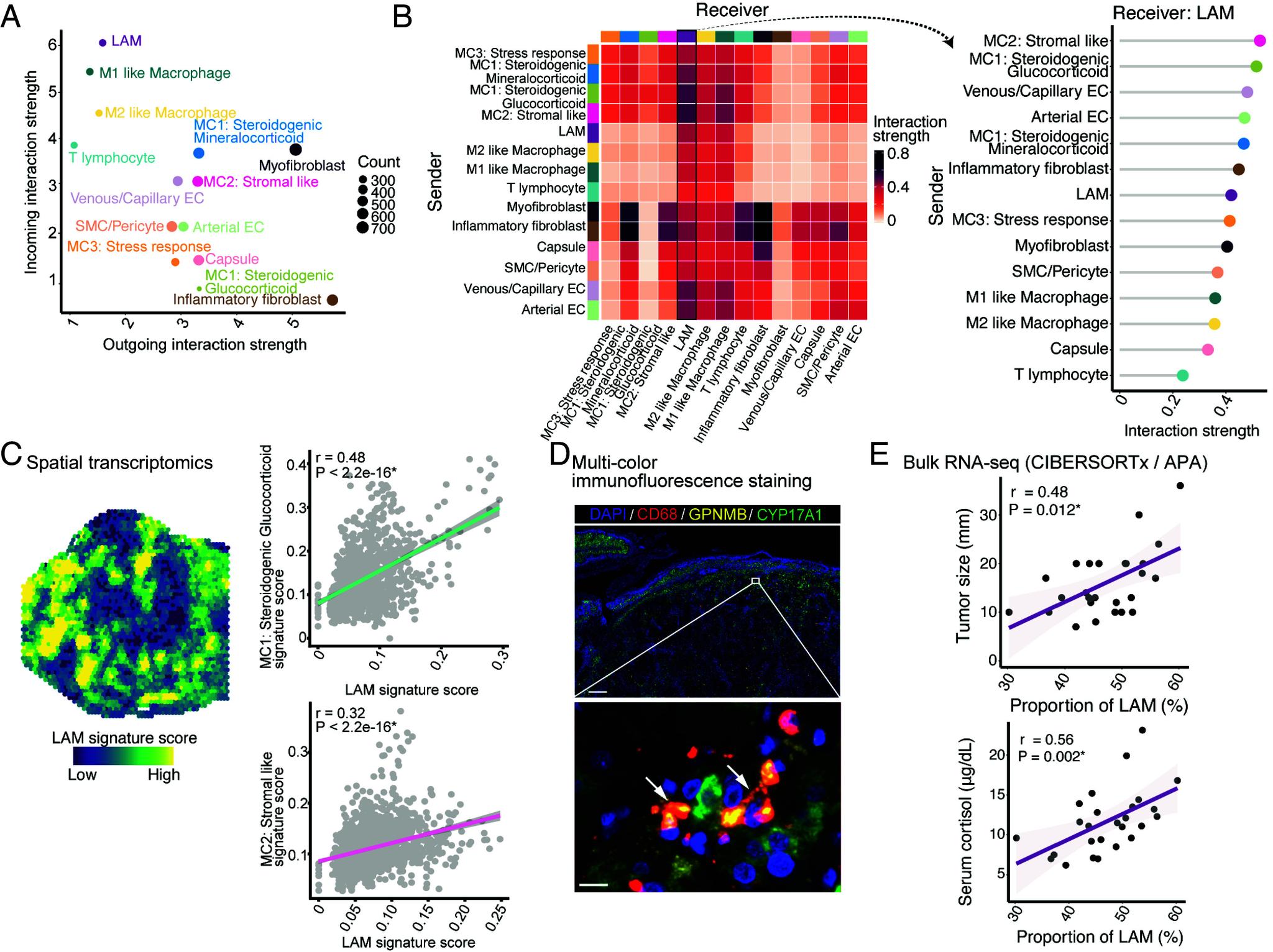 https://cdn.ncbi.nlm.nih.gov/pmc/blobs/61d6/11892633/cd4ada406c59/pnas.2421489122fig06.jpg