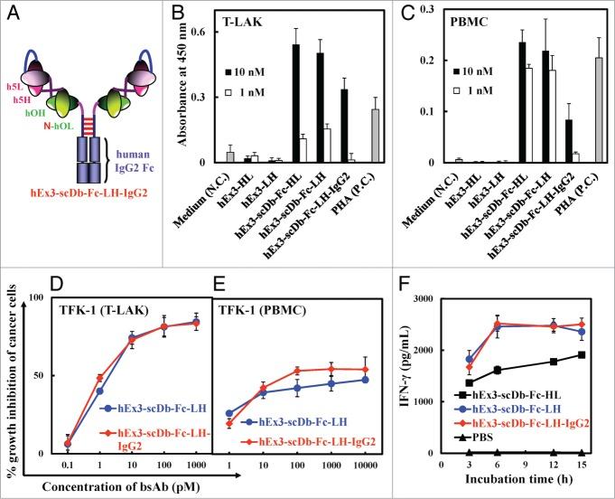https://cdn.ncbi.nlm.nih.gov/pmc/blobs/61eb/4623410/74d719ae9a0e/kmab-06-05-972878-g007.jpg