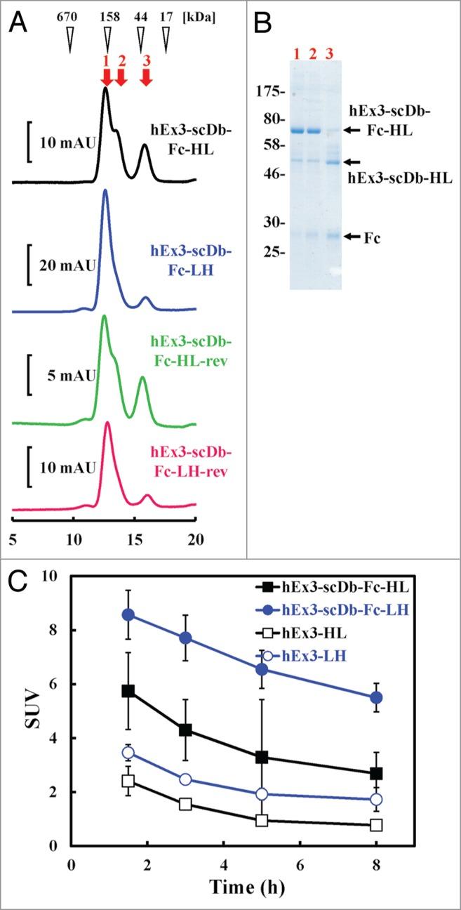 https://cdn.ncbi.nlm.nih.gov/pmc/blobs/61eb/4623410/74dcb347b614/kmab-06-05-972878-g006.jpg