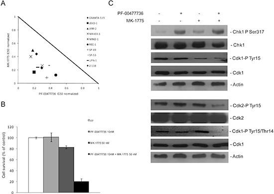 https://cdn.ncbi.nlm.nih.gov/pmc/blobs/61ef/4413661/17c5db6ddb49/oncotarget-06-3394-g003.jpg