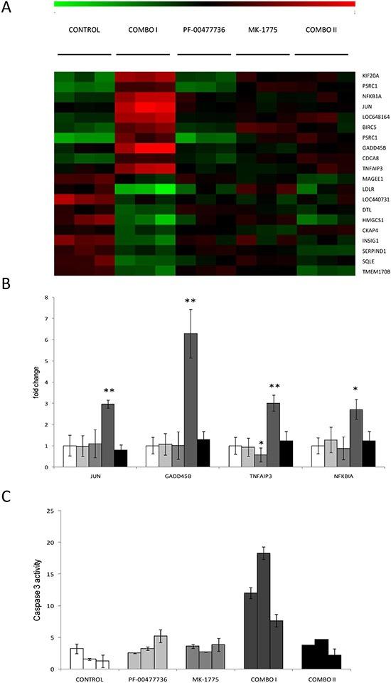https://cdn.ncbi.nlm.nih.gov/pmc/blobs/61ef/4413661/44a12d48feed/oncotarget-06-3394-g006.jpg