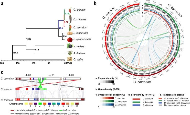 https://cdn.ncbi.nlm.nih.gov/pmc/blobs/61f1/5664825/01491fbeecb5/13059_2017_1341_Fig1_HTML.jpg