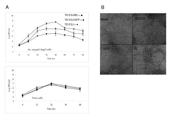 https://cdn.ncbi.nlm.nih.gov/pmc/blobs/6212/2660349/a6c3fb2d0bb6/1471-2180-9-49-5.jpg