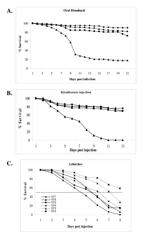https://cdn.ncbi.nlm.nih.gov/pmc/blobs/6212/2660349/ec5d569adcc8/1471-2180-9-49-7.jpg