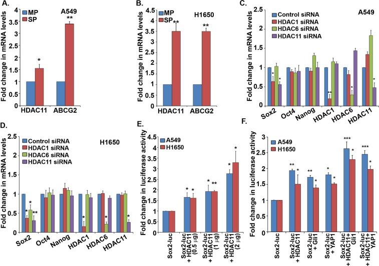 https://cdn.ncbi.nlm.nih.gov/pmc/blobs/6213/7069992/25bc4077f576/41598_2020_61295_Fig2_HTML.jpg