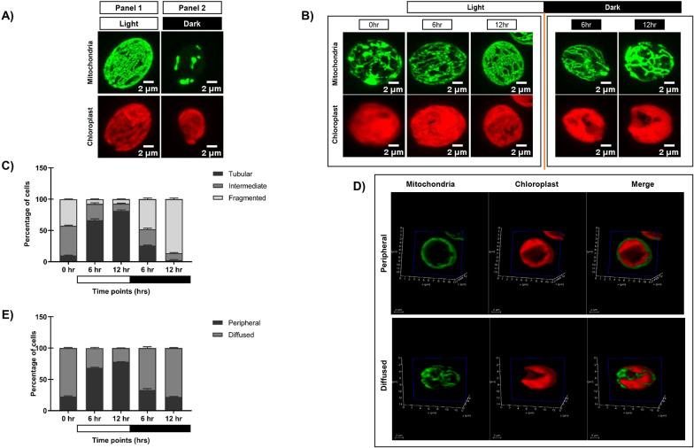 https://cdn.ncbi.nlm.nih.gov/pmc/blobs/6233/12310610/3e0ce552f517/fpls-16-1622214-g001.jpg