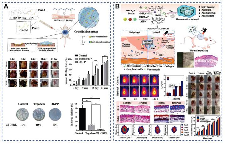 https://cdn.ncbi.nlm.nih.gov/pmc/blobs/6233/12374547/886b01df583b/thnov15p8068g013.jpg