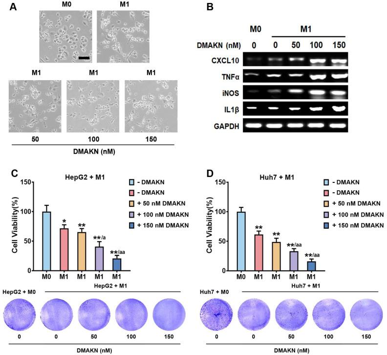 https://cdn.ncbi.nlm.nih.gov/pmc/blobs/624a/11357245/4e8cb6ffd2a5/molecules-29-03919-g004.jpg