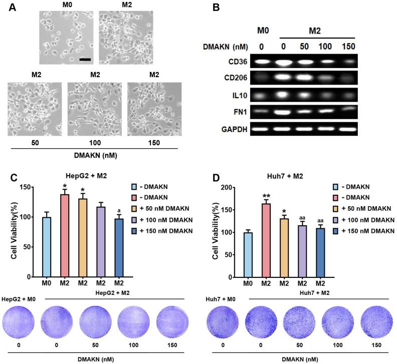 https://cdn.ncbi.nlm.nih.gov/pmc/blobs/624a/11357245/60ee2061d176/molecules-29-03919-g005.jpg