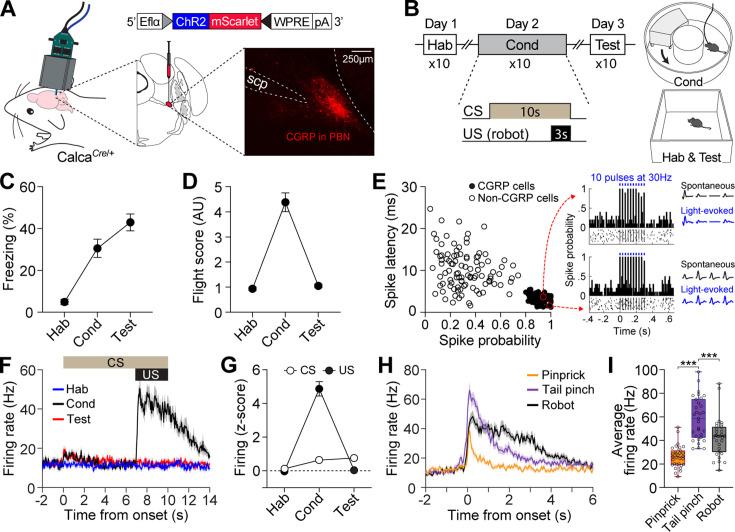 https://cdn.ncbi.nlm.nih.gov/pmc/blobs/6272/11798572/9d5f8b452398/elife-101523-fig1.jpg