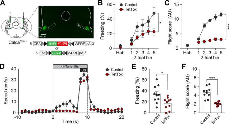 https://cdn.ncbi.nlm.nih.gov/pmc/blobs/6272/11798572/ac1d1da13486/elife-101523-fig6.jpg