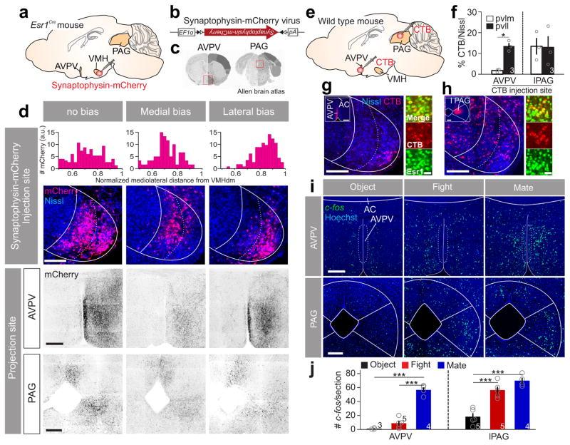 https://cdn.ncbi.nlm.nih.gov/pmc/blobs/6281/5953764/c04a3837980c/nihms902006f8.jpg