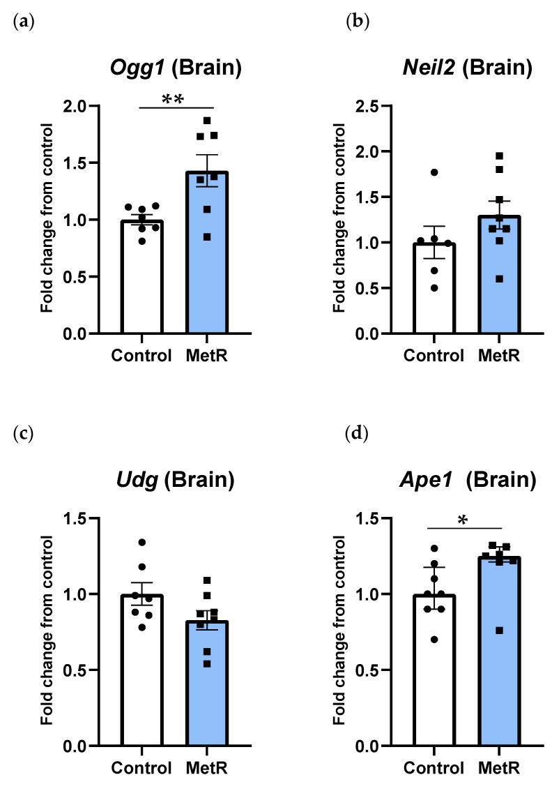 https://cdn.ncbi.nlm.nih.gov/pmc/blobs/6288/12292225/6de456ac384e/biomolecules-15-00969-g006.jpg