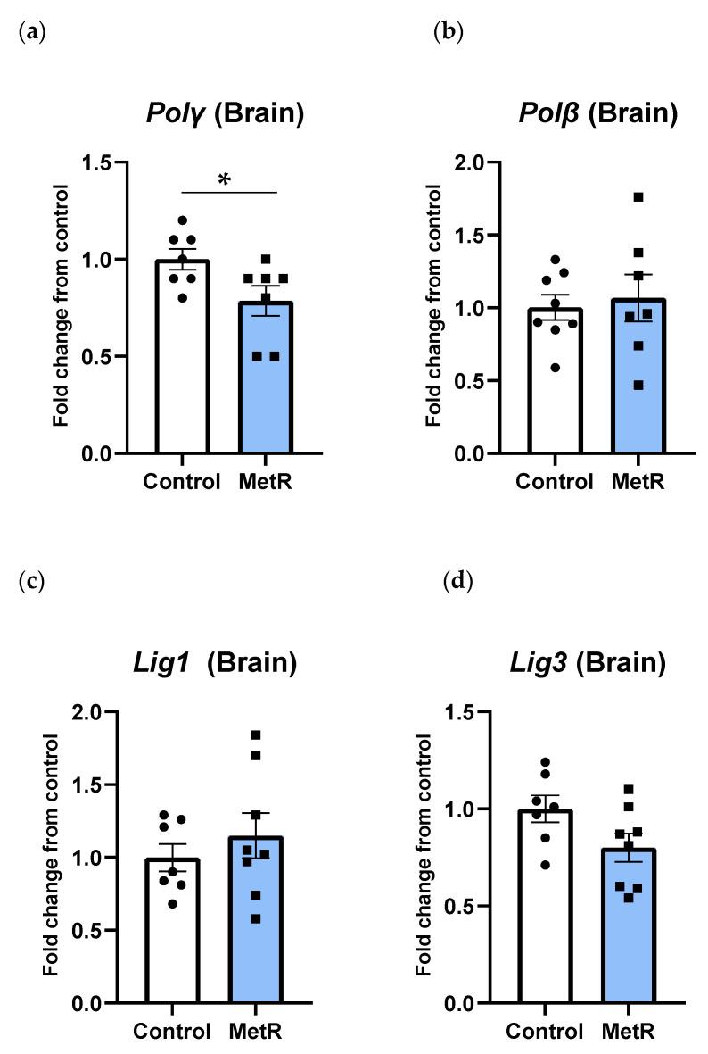 https://cdn.ncbi.nlm.nih.gov/pmc/blobs/6288/12292225/c0c179faf418/biomolecules-15-00969-g007.jpg