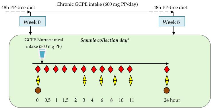 https://cdn.ncbi.nlm.nih.gov/pmc/blobs/62a3/9230201/c147d2cf4696/nutrients-14-02445-g001.jpg