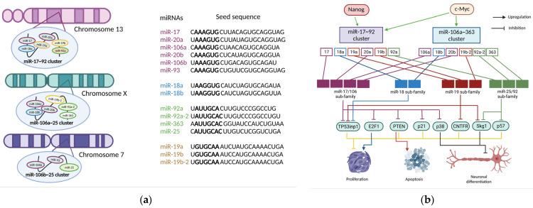 https://cdn.ncbi.nlm.nih.gov/pmc/blobs/62bb/9100679/01a2a2dc7759/cells-11-01525-g001.jpg