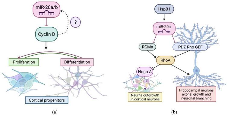 https://cdn.ncbi.nlm.nih.gov/pmc/blobs/62bb/9100679/19e406b7a3c4/cells-11-01525-g002.jpg