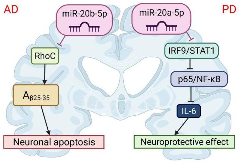 https://cdn.ncbi.nlm.nih.gov/pmc/blobs/62bb/9100679/53a2c44af7c2/cells-11-01525-g005.jpg