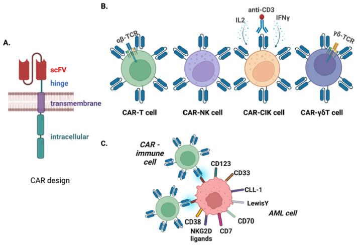 https://cdn.ncbi.nlm.nih.gov/pmc/blobs/62fa/10252303/37e9882634da/cancers-15-03054-g001.jpg