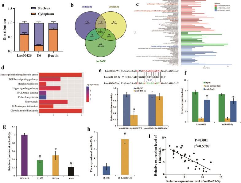 https://cdn.ncbi.nlm.nih.gov/pmc/blobs/630b/7732829/1ad130f023cb/41419_2020_3259_Fig4_HTML.jpg