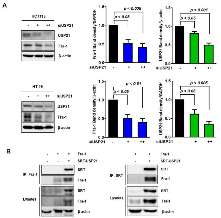 https://cdn.ncbi.nlm.nih.gov/pmc/blobs/6335/7017141/d4818ad16010/cancers-12-00207-g001.jpg