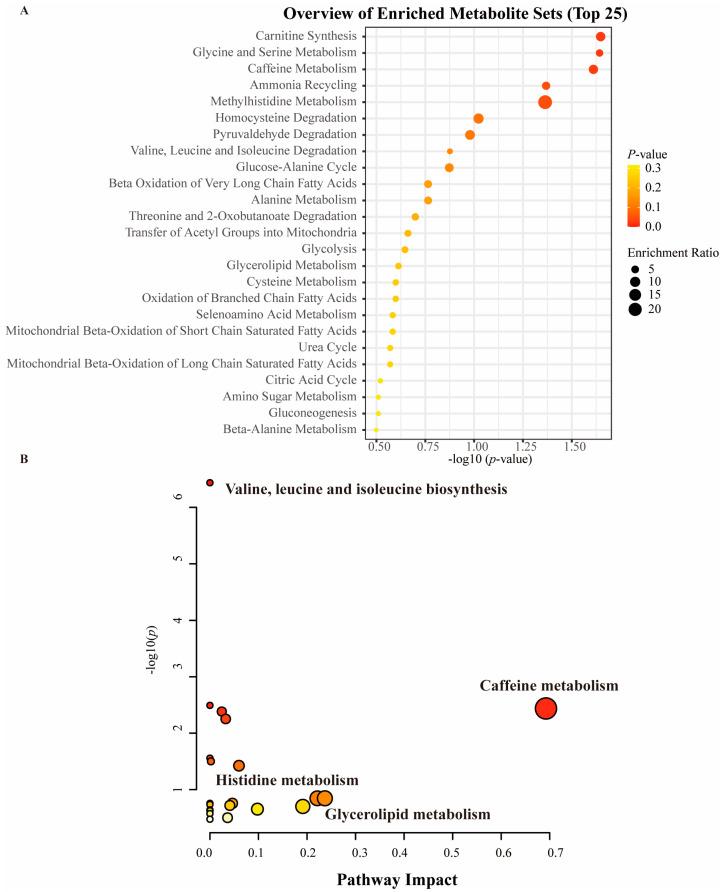 https://cdn.ncbi.nlm.nih.gov/pmc/blobs/633e/11509474/a38f327b515e/metabolites-14-00557-g007.jpg