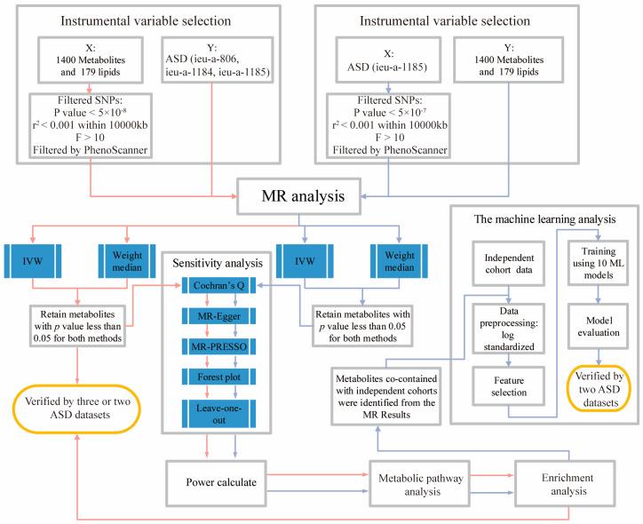 https://cdn.ncbi.nlm.nih.gov/pmc/blobs/633e/11509474/c8cee44a39e5/metabolites-14-00557-g001.jpg