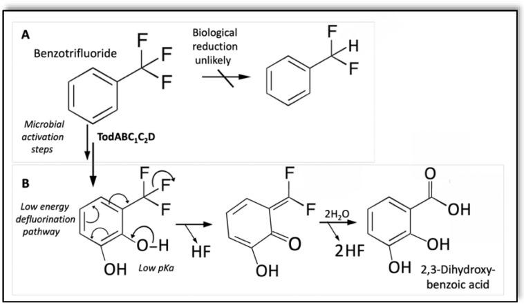 https://cdn.ncbi.nlm.nih.gov/pmc/blobs/6375/9415301/ed2c7394b4e5/microorganisms-10-01664-g004.jpg