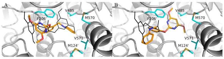 https://cdn.ncbi.nlm.nih.gov/pmc/blobs/6385/11173721/f70a05f4504a/molecules-29-02409-g002.jpg