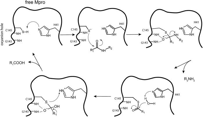 https://cdn.ncbi.nlm.nih.gov/pmc/blobs/639e/8850931/32cf3c01ea0b/fchem-09-819165-g010.jpg