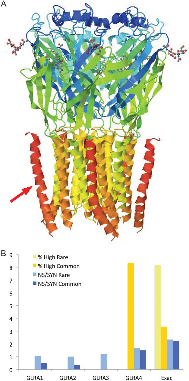 https://cdn.ncbi.nlm.nih.gov/pmc/blobs/63a8/6101605/37f7224bbd2c/gky587fig7.jpg