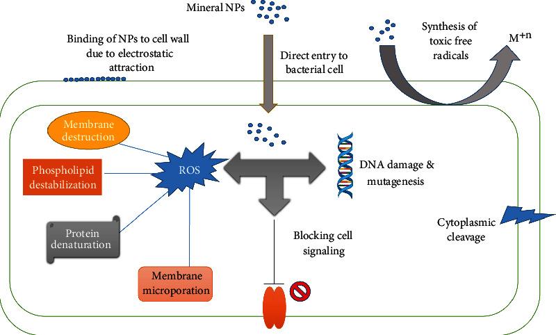 https://cdn.ncbi.nlm.nih.gov/pmc/blobs/63ab/9509231/c1b61847b891/BMRI2022-9539908.003.jpg