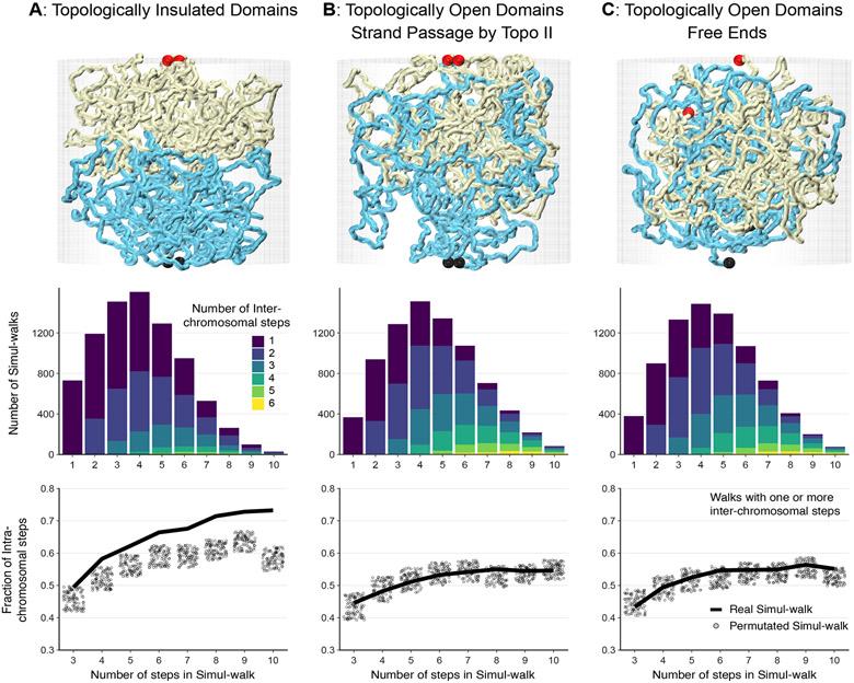 https://cdn.ncbi.nlm.nih.gov/pmc/blobs/63b7/7718335/618f095e2691/nihms-1620196-f0004.jpg