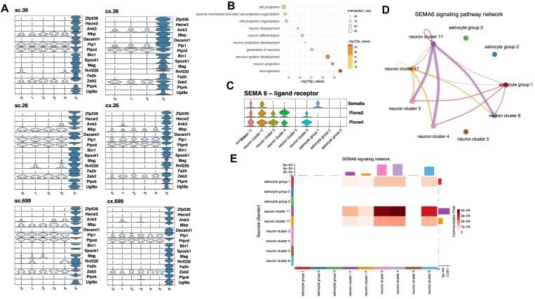 https://cdn.ncbi.nlm.nih.gov/pmc/blobs/63b8/12019640/a5931d68aab9/lqaf042fig4.jpg