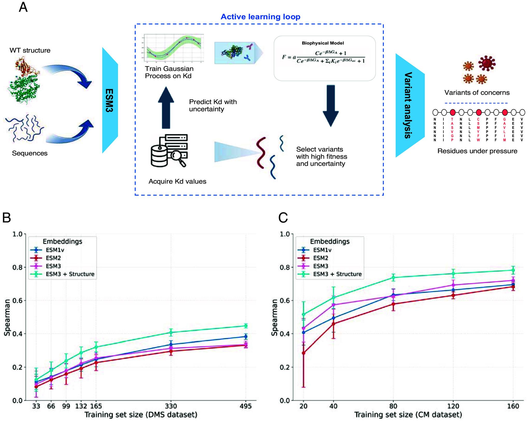 https://cdn.ncbi.nlm.nih.gov/pmc/blobs/63b8/12184641/a368b4813d5a/pnas.2503742122fig01.jpg