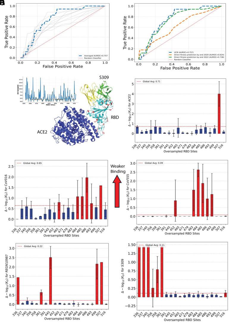 https://cdn.ncbi.nlm.nih.gov/pmc/blobs/63b8/12184641/b9560749afef/pnas.2503742122fig04.jpg