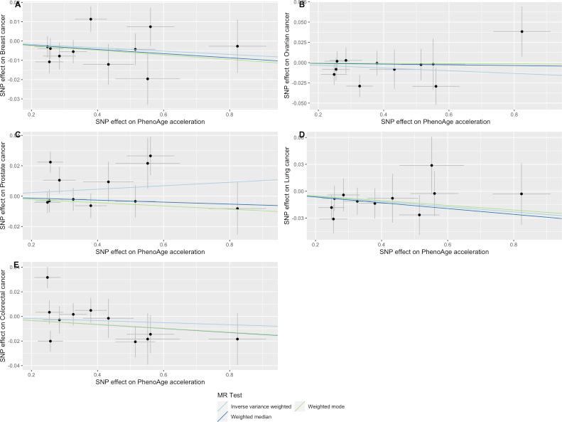 https://cdn.ncbi.nlm.nih.gov/pmc/blobs/63b9/9049976/9a96c9270d0a/elife-75374-app2-fig6.jpg