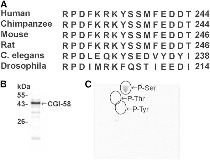 https://cdn.ncbi.nlm.nih.gov/pmc/blobs/63c0/4274058/2380dcd5a2b2/109fig1.jpg